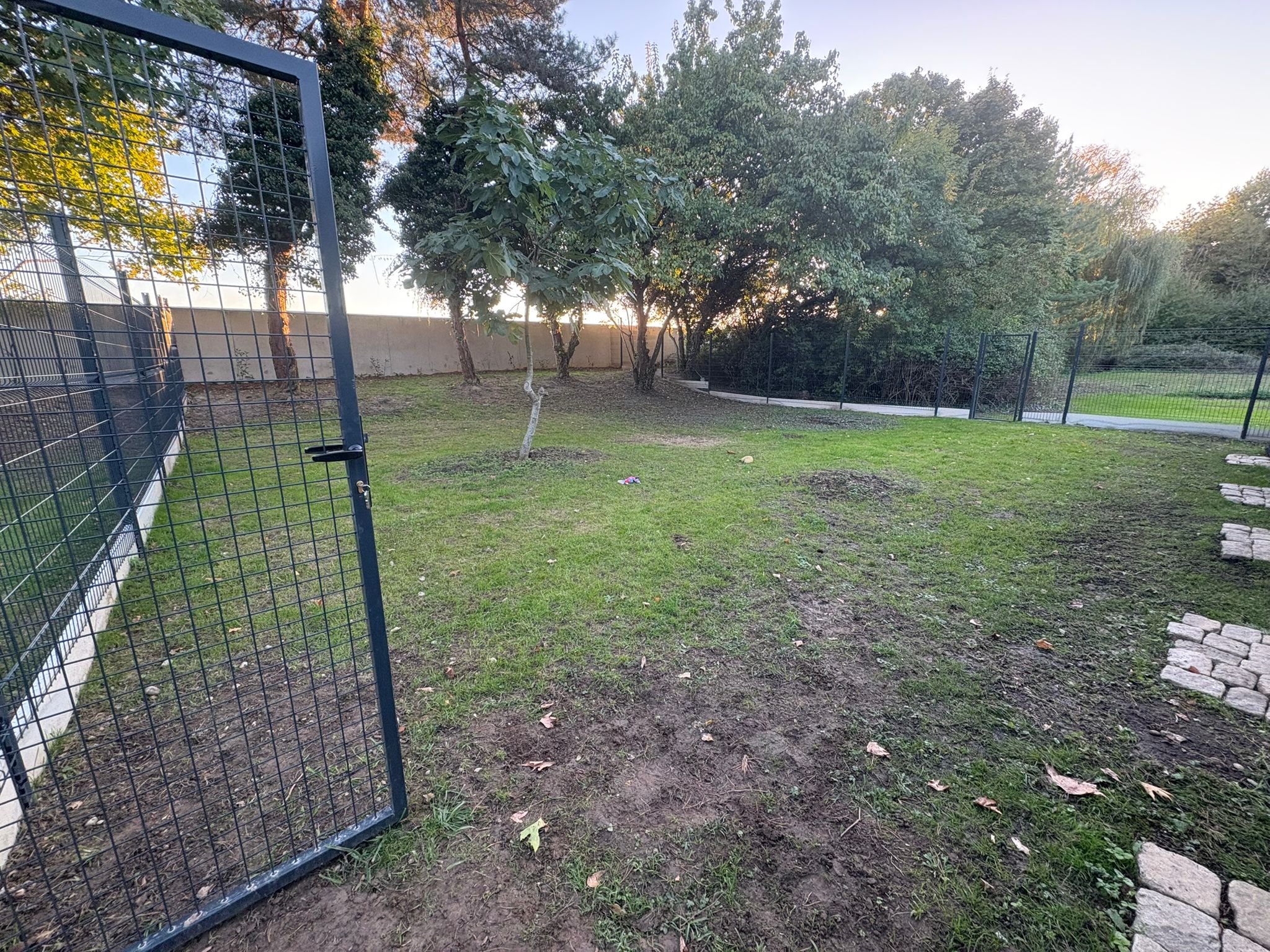 Parc sécurisé pour les chiens